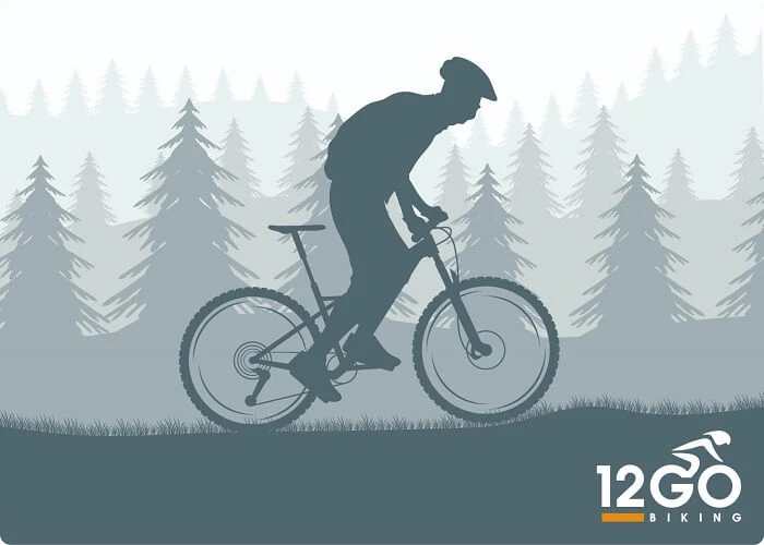 Trek Allant+ 5 2023 - Afbeelding 3