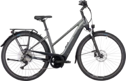 Pegasus Premio EVO 10 Lite -Aanbiedingen Fiets Wielen Winkel pegasus premio evo 10 grijs trapeze