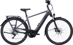 Pegasus Premio EVO 10 Lite 750