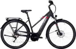 Pegasus Premio EVO 10 -Aanbiedingen Fiets Wielen Winkel pegasus premio evo 10 zwart trapeze