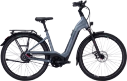 Pegasus Premio EVO Enviolo Belt