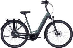 Pegasus Ravenna EVO 8F