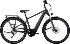 Pegasus Savino EVO 10 CX