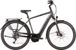 Pegasus Strong EVO 10