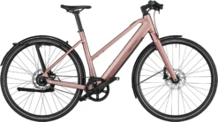 Riese & Müller UBN Seven Silent 2023